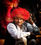 IMG_5433.jpeg