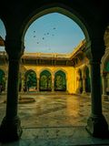 IMG_7823.jpeg