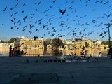 IMG_8769.jpeg