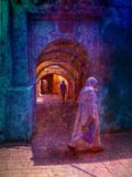 IMG_6016.jpeg