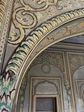 IMG_1009.jpeg