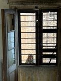 IMG_1002.jpeg