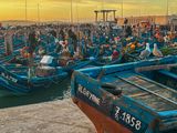 IMG_0756.jpeg