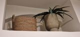 IMG-20230809-WA0024.jpg