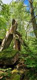 IMG-20250723-WA0159.jpg