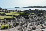 Rockcliffe