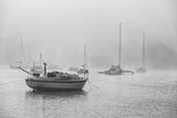 Moored in the Mist