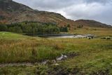 Blea Tarn
