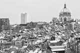 Schaerbeek with Sainte-Marie church and Brusilia tower 