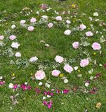 Grass Art