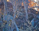 082424 Leopard cubs  15.jpg
