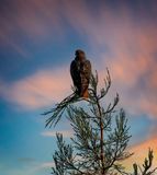 _DSC7191.jpg