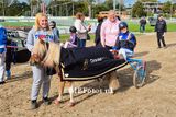 Minikoers 2. Shanti Zonneberg met Billy3.jpg