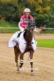Koers 6. Moonshine Meadow3.jpg