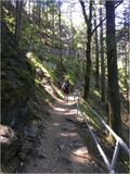 Going up - The trail