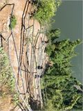 Going down - The trail