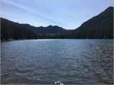 Elk Lake views