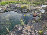 2024-Aug-593-CareyHotSprings.jpg