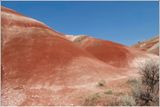 2024-Aug-872-PaintedHills.jpg