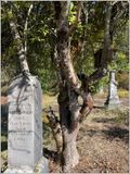 Geocache guidance (2024-10-03)