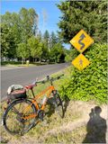 Snakes and Sasquatch in the road! (2025-05-27)