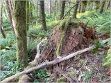 Im stumped... (2025-08-18)