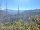  (2025-09-24 - Birthday Hike)