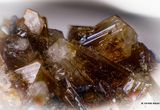 0285-Adamiet.JPG