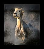 Fleeing the Storm.jpg