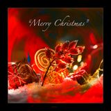 Thank you for all your kind likes and messages in 2024.jpg