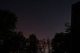 D72_9946_00014.jpg