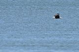 D72_0495_00005s.jpg