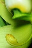 D72_3586_008s.jpg