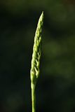 D85_3331_023s.jpg