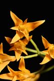 D85_3358_031s.jpg
