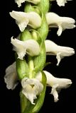 D85_3408_016s.jpg