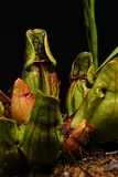 D85_3390_010s.jpg