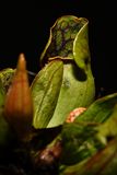 D85_3395_012s.jpg