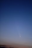 D85_3993_001.jpg
