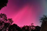 D85_3598_010.jpg