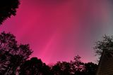 D85_3604_016.jpg