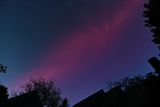 D85_3668_027.jpg