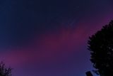 D85_3682_029.jpg
