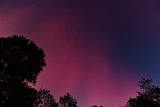D85_3771_031.jpg