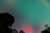 D85_3784_036.jpg