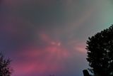 D85_3803_037.jpg