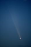 D85_4121_006.jpg
