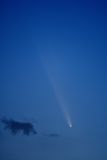 D85_4076_001.jpg