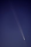 D85_4167_001s.jpg
