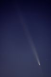 D85_4187_002s.jpg
